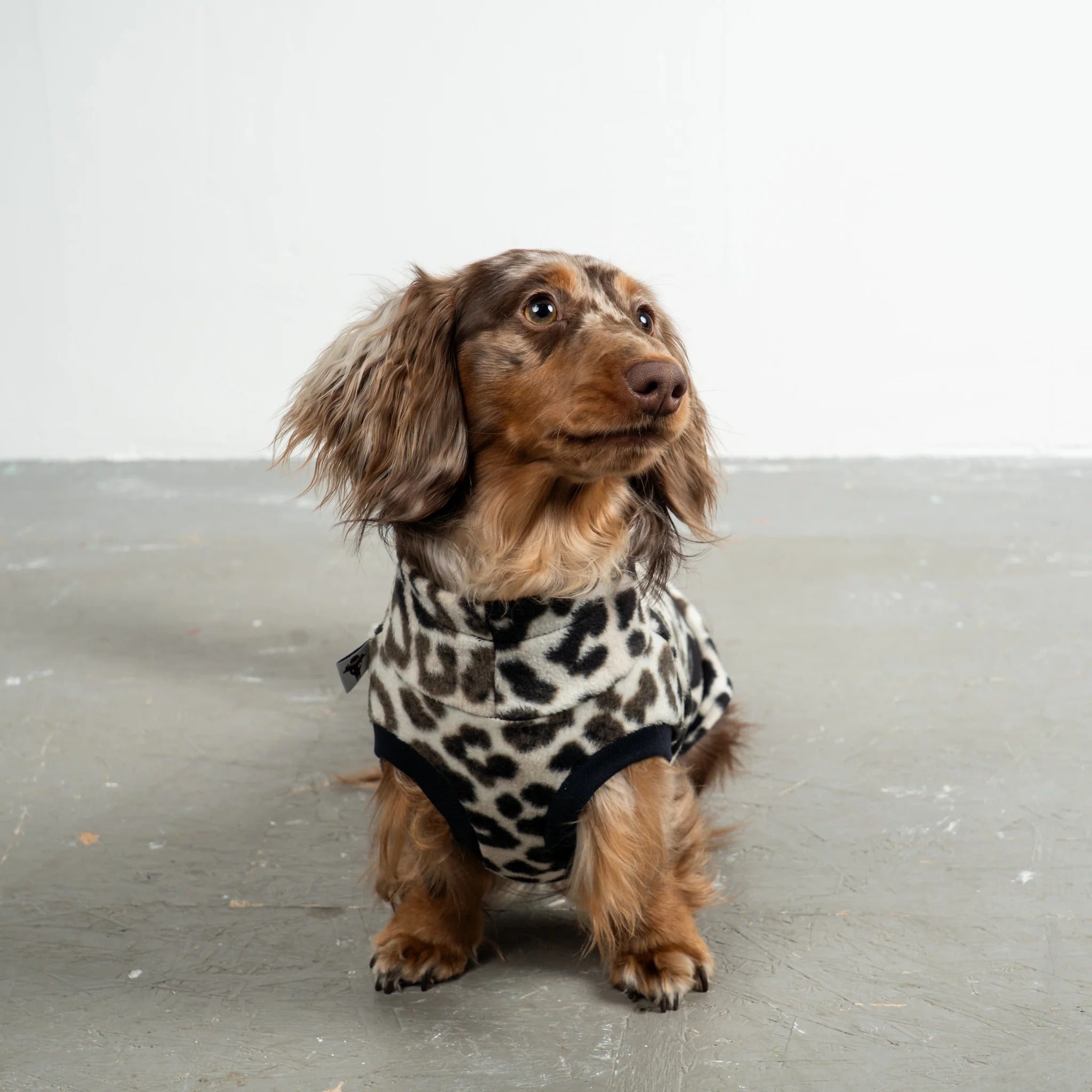 Karma Hund – Fleece Shirt Dackel
