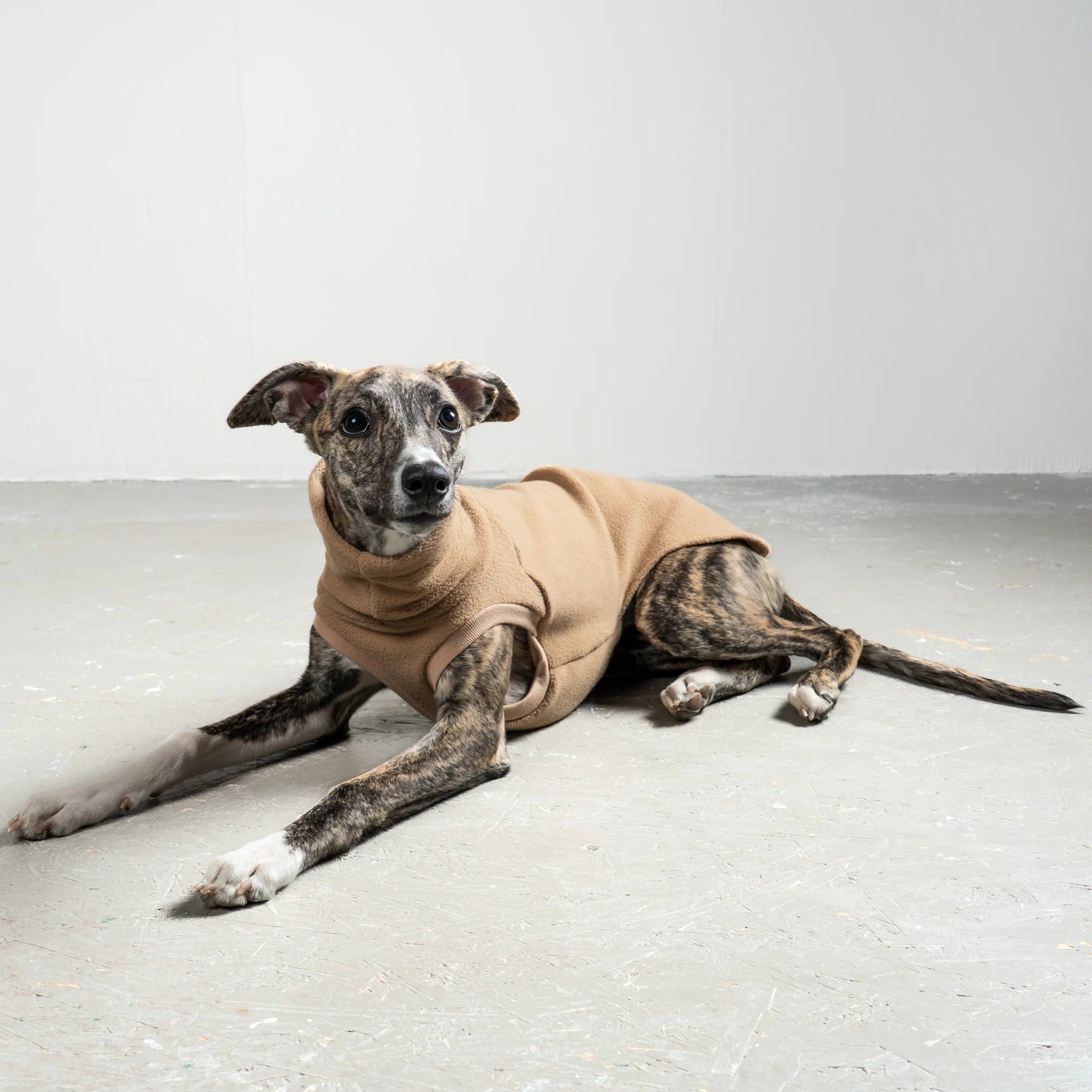 Karma Hund – Fleece Shirt Windhund - Camel