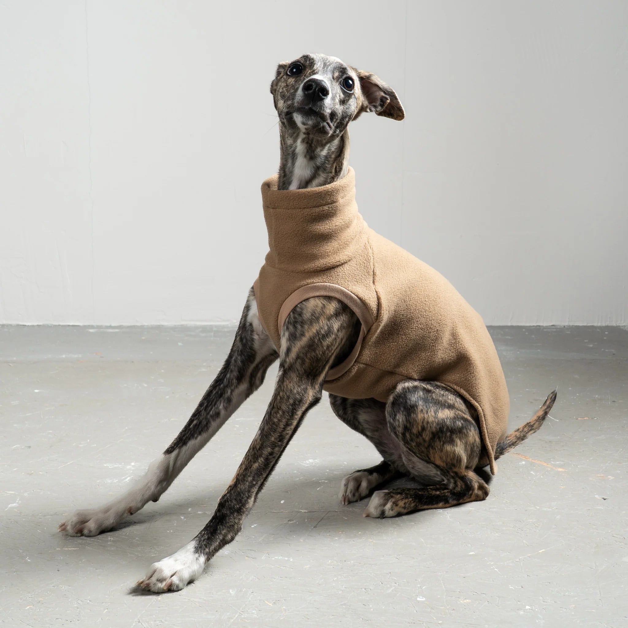 Karma Hund – Fleece Shirt Windhund - Camel