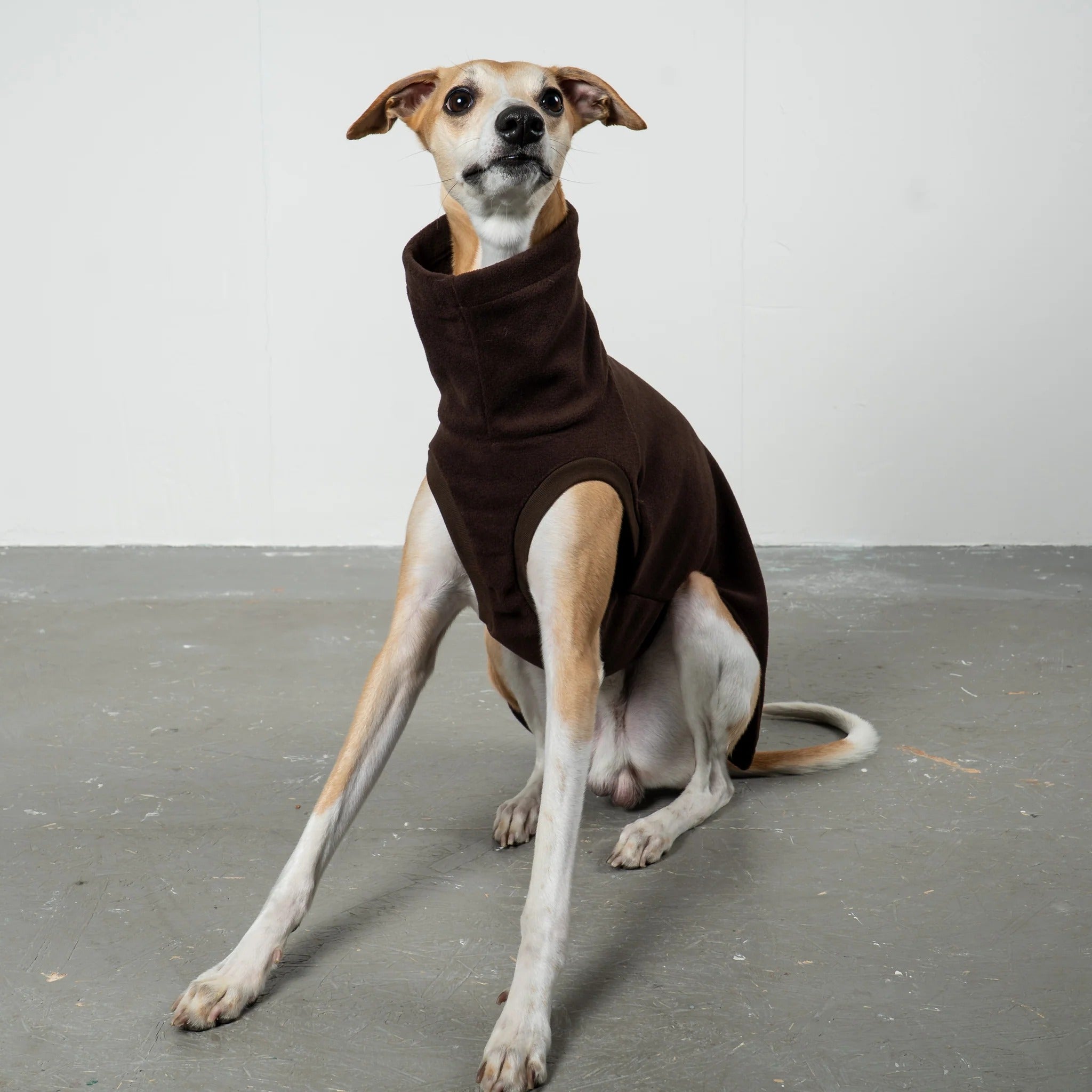 Karma Hund – Fleece Shirt Windhund - Espresso