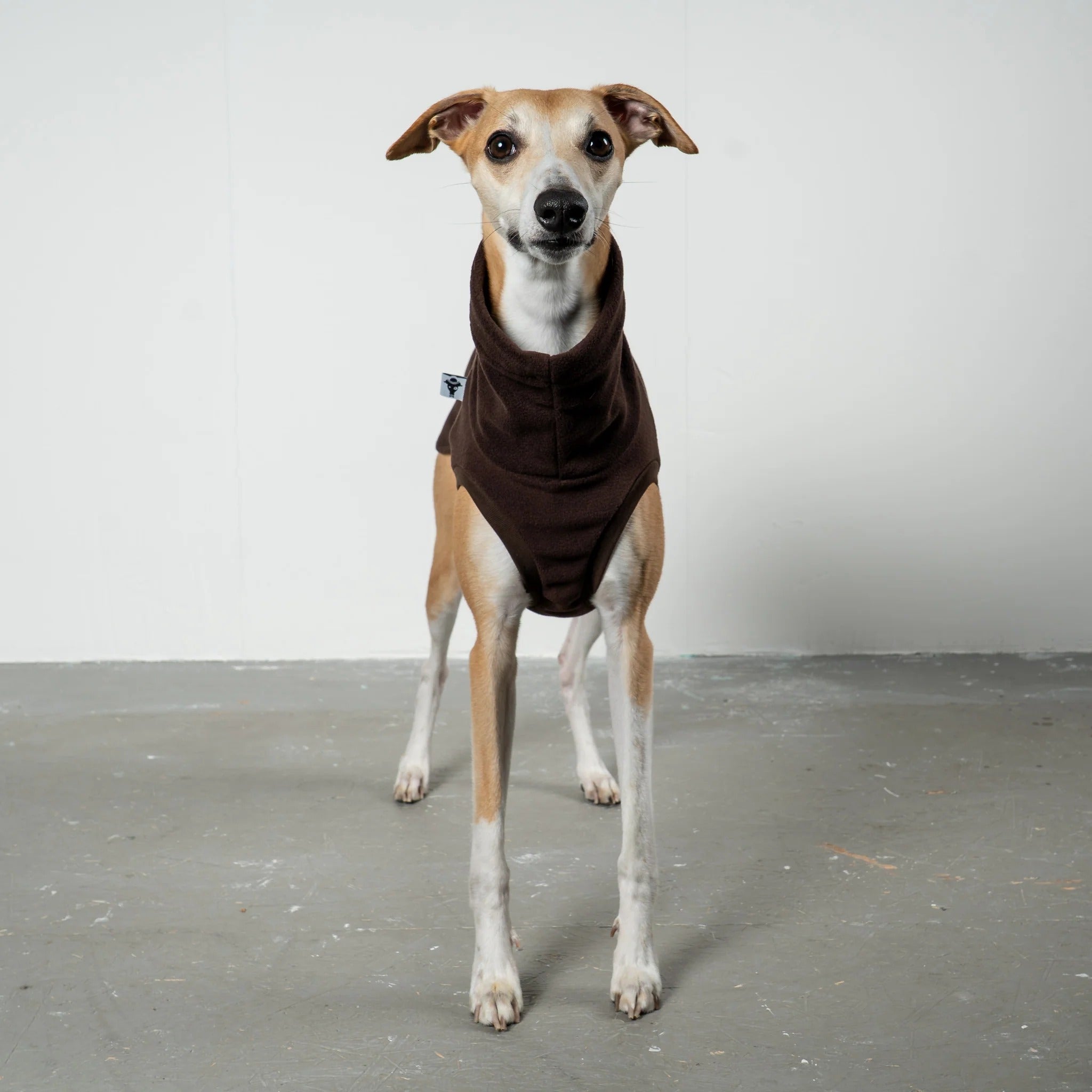 Karma Hund – Fleece Shirt Windhund - Espresso