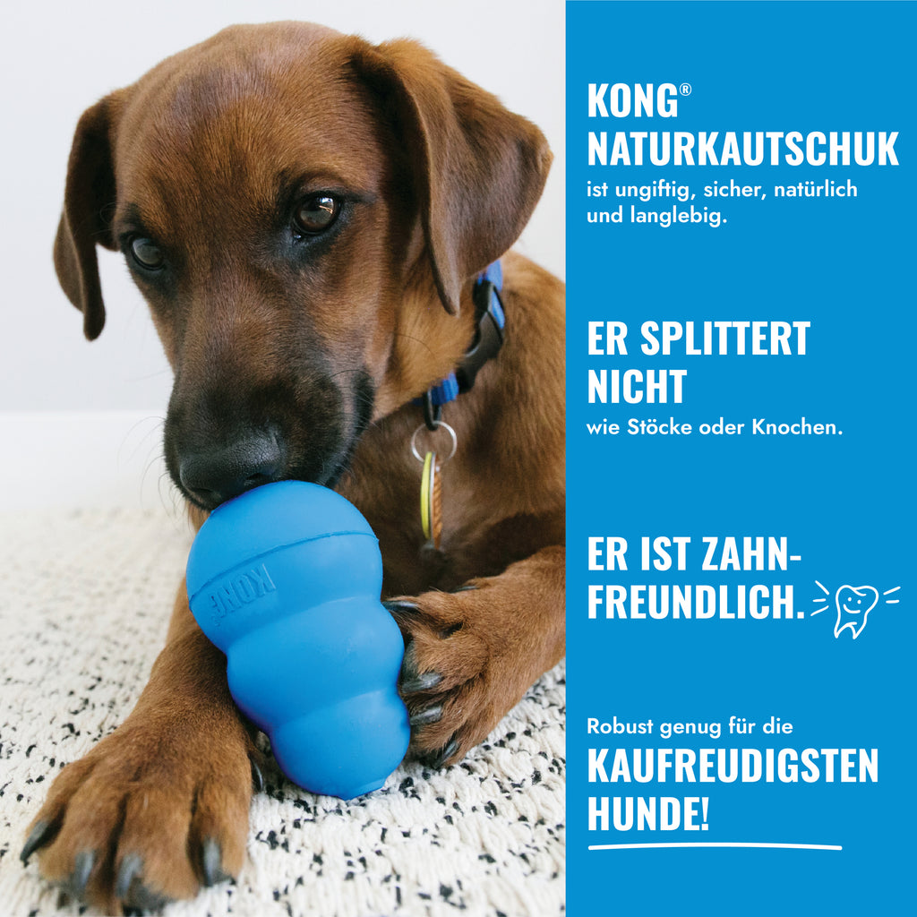 KONG Puppy Blue