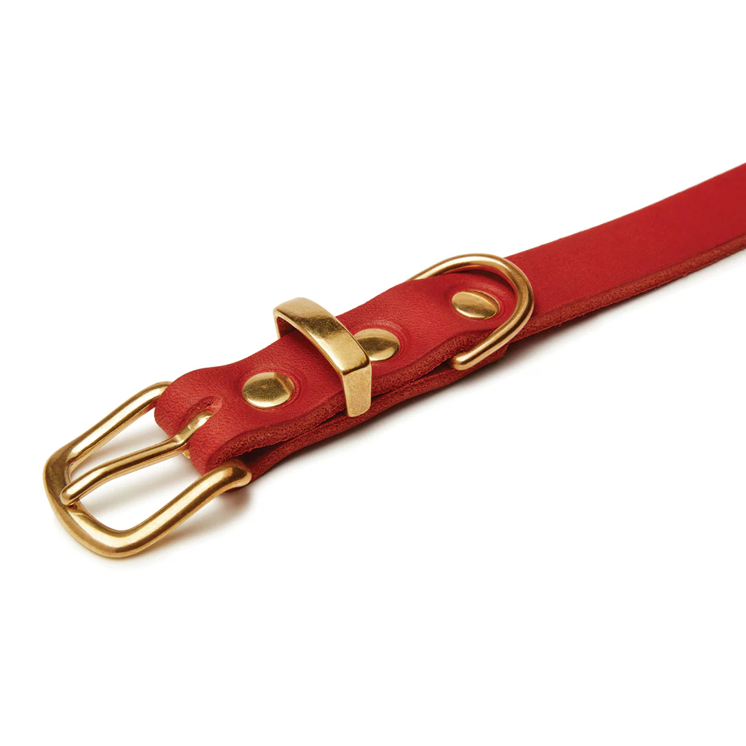 Molly and Stitch – Butter Lederhalsband
