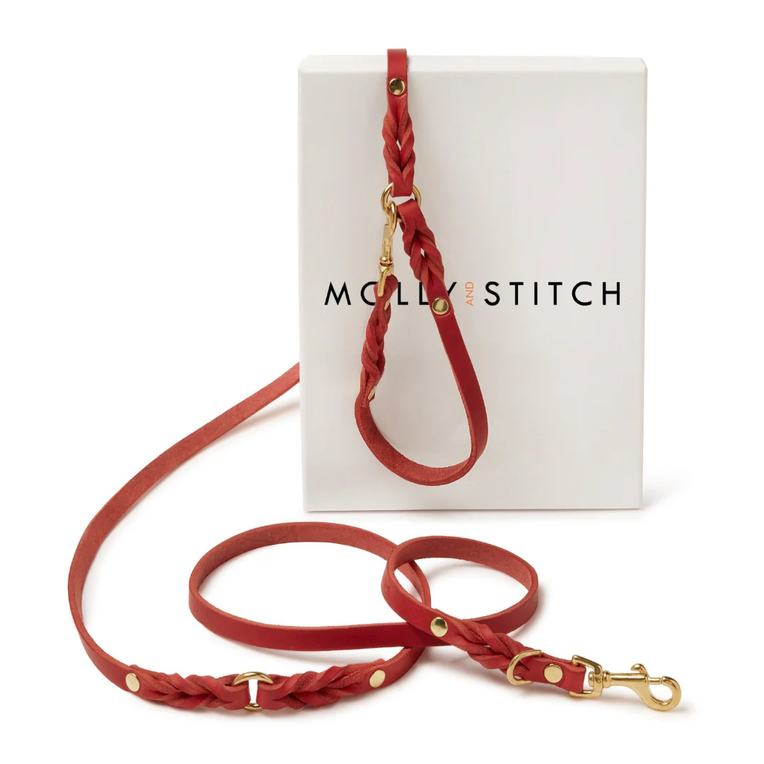 Molly and Stitch – Butter Hundeleine 3x verstellbar