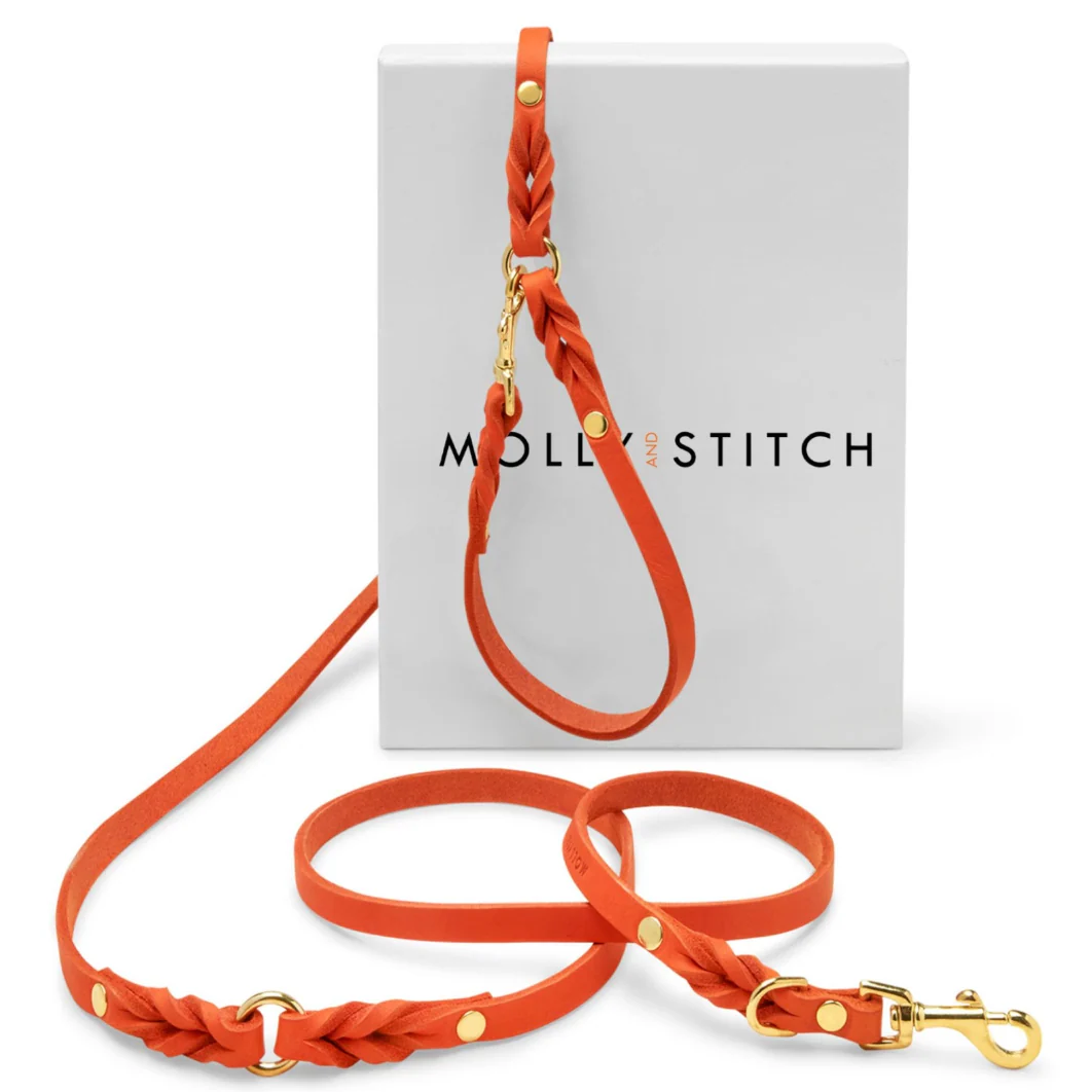 Molly and Stitch – Butter Hundeleine 3x verstellbar