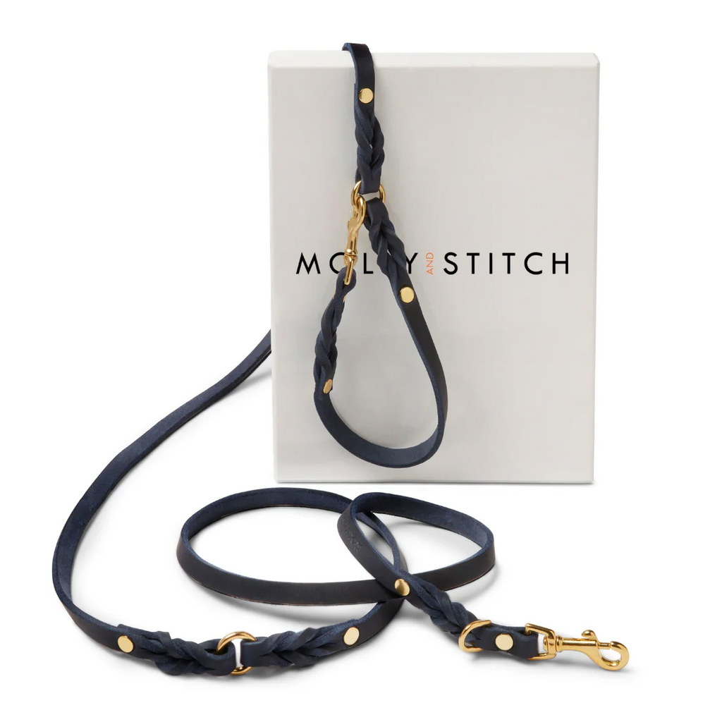 Molly and Stitch – Butter Hundeleine 3x verstellbar