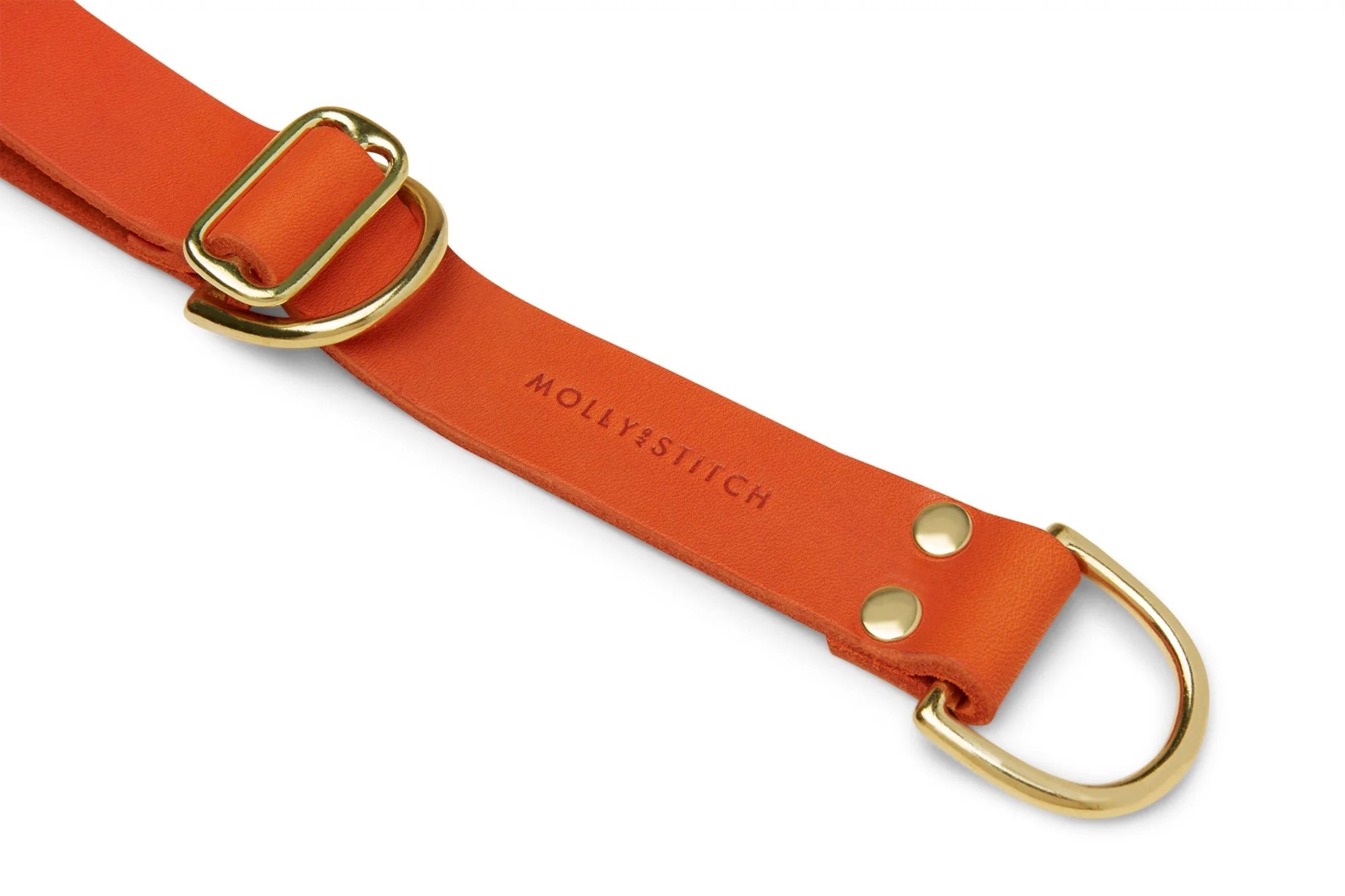 Molly and Stitch – Butter Retrieverhalsband