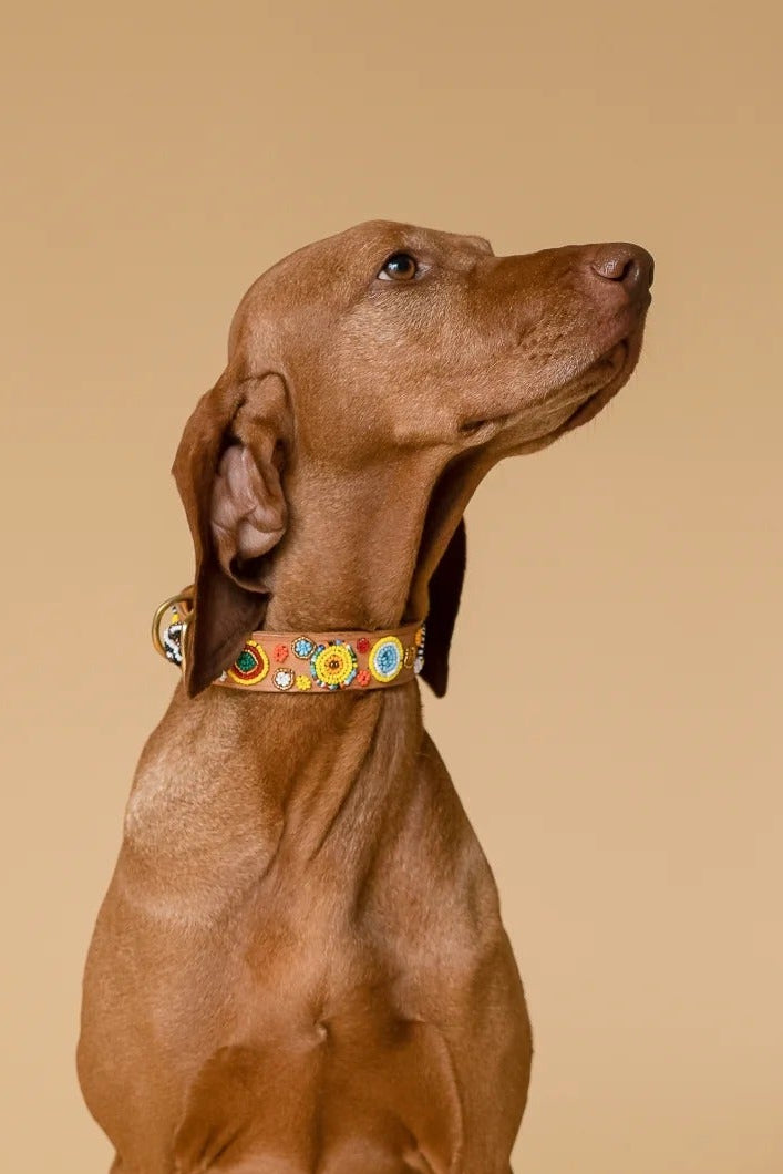 PLAKKIES – Hundehalsband Flower Garden