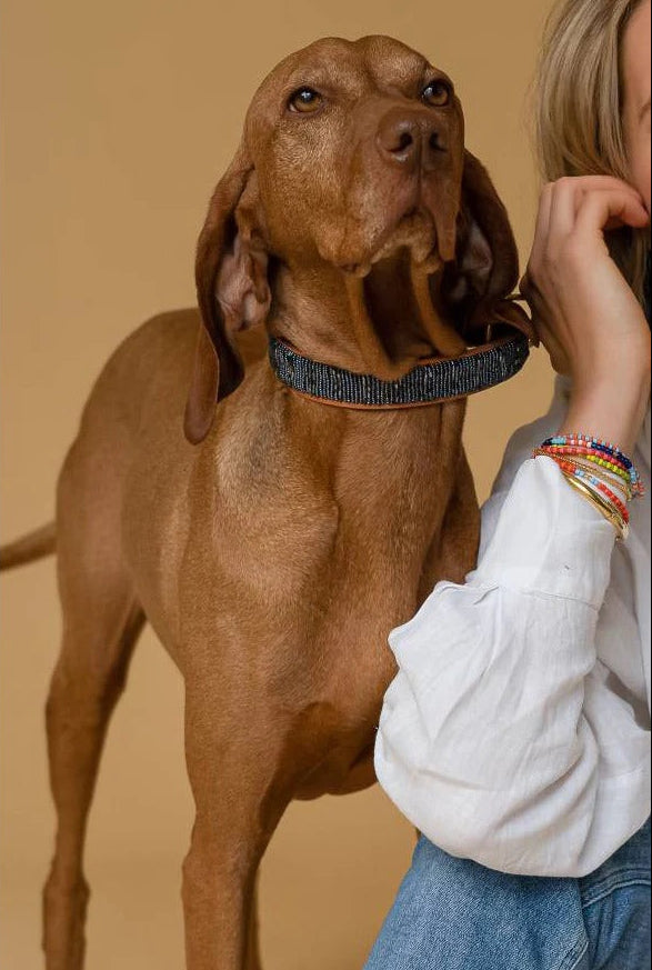 PLAKKIES – Hundehalsband Starry Night