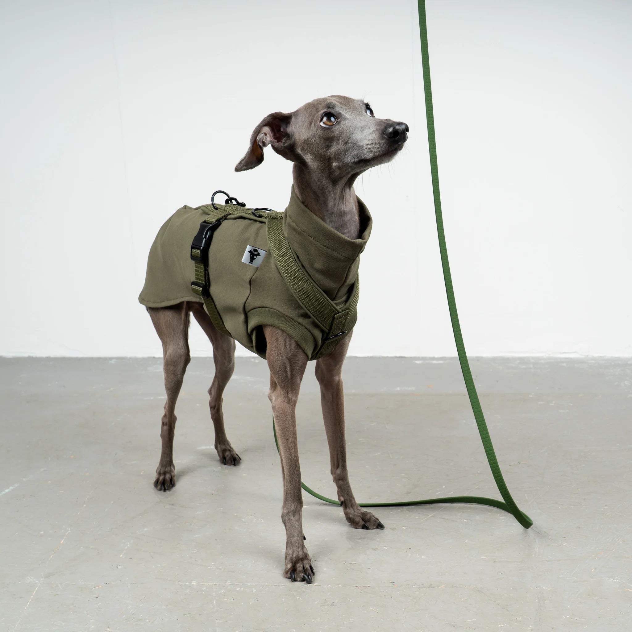 Karma Hund – Softshell Hundegeschirr Iggy