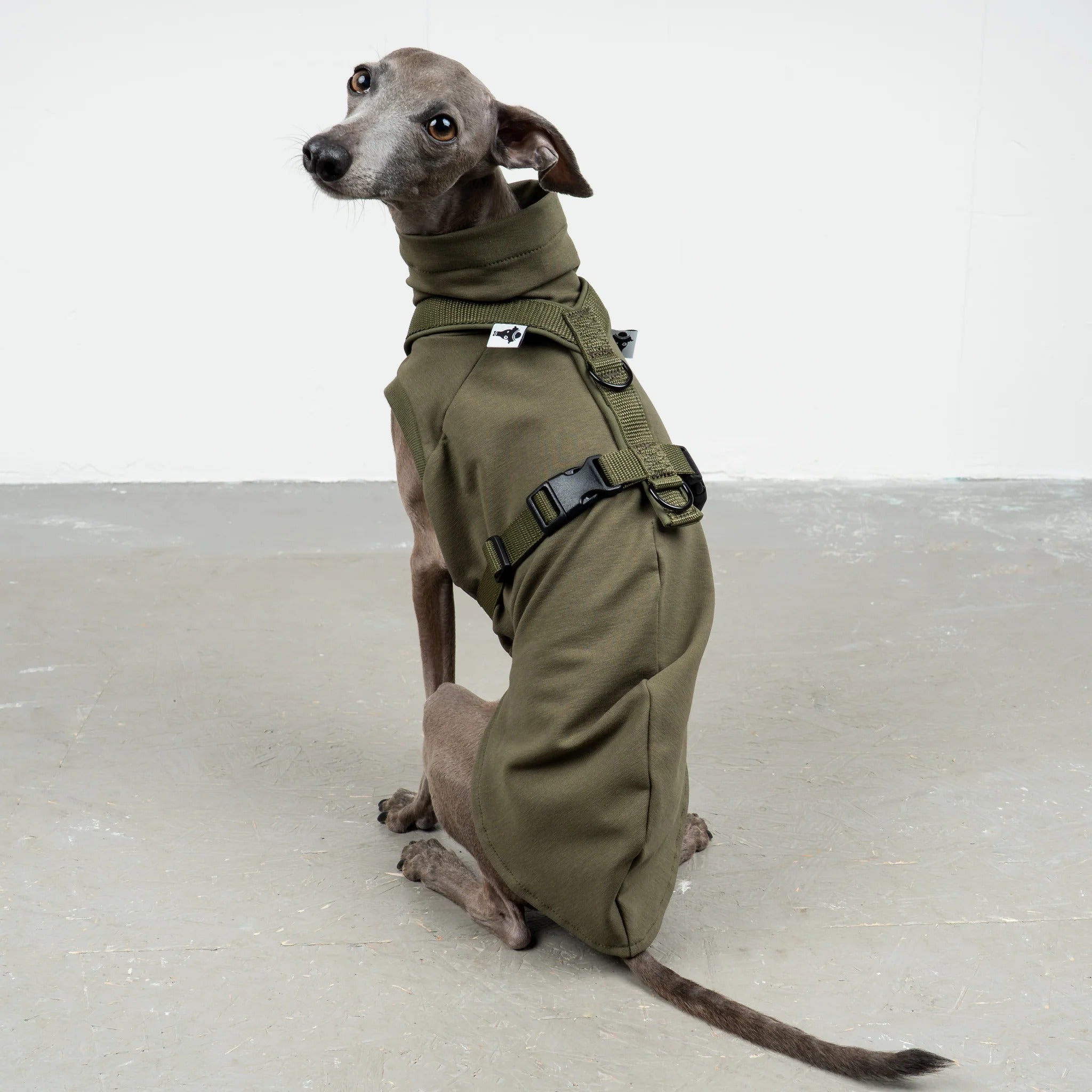 Karma Hund – Softshell Hundegeschirr Iggy