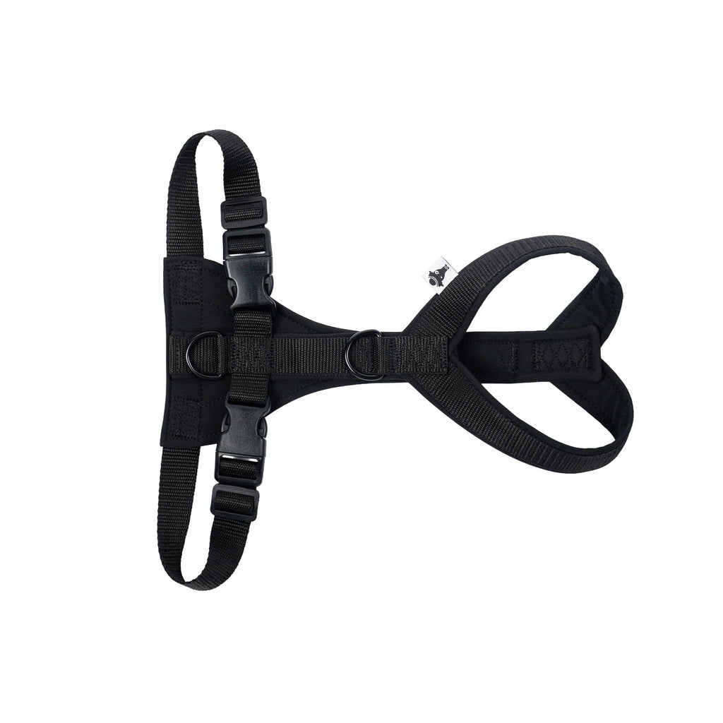 Karma Hund – Softshell Hundegeschirr Windhund