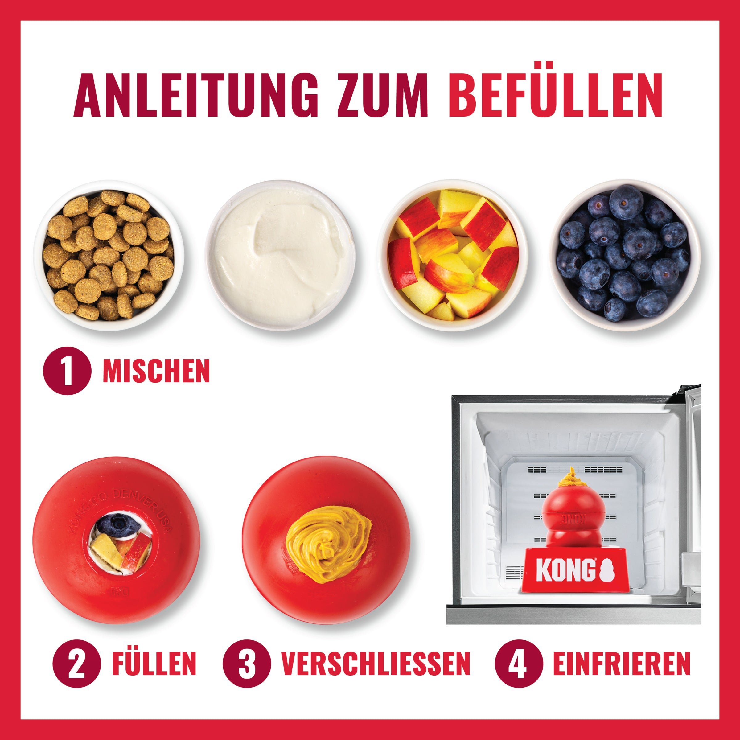 KONG Classic