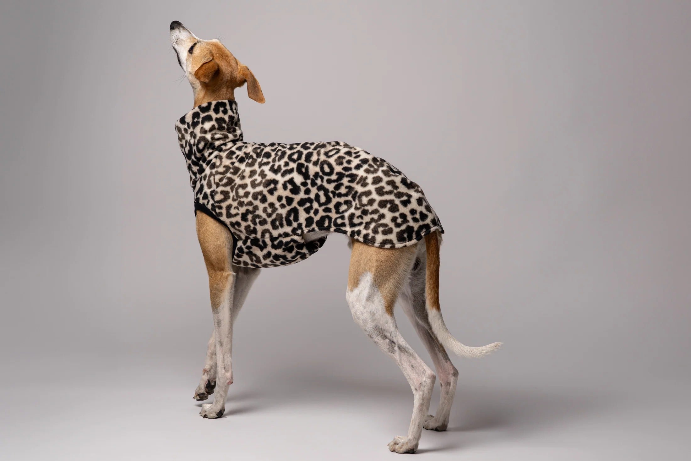 Karma Hund – Fleece Shirt Windhund - Leo