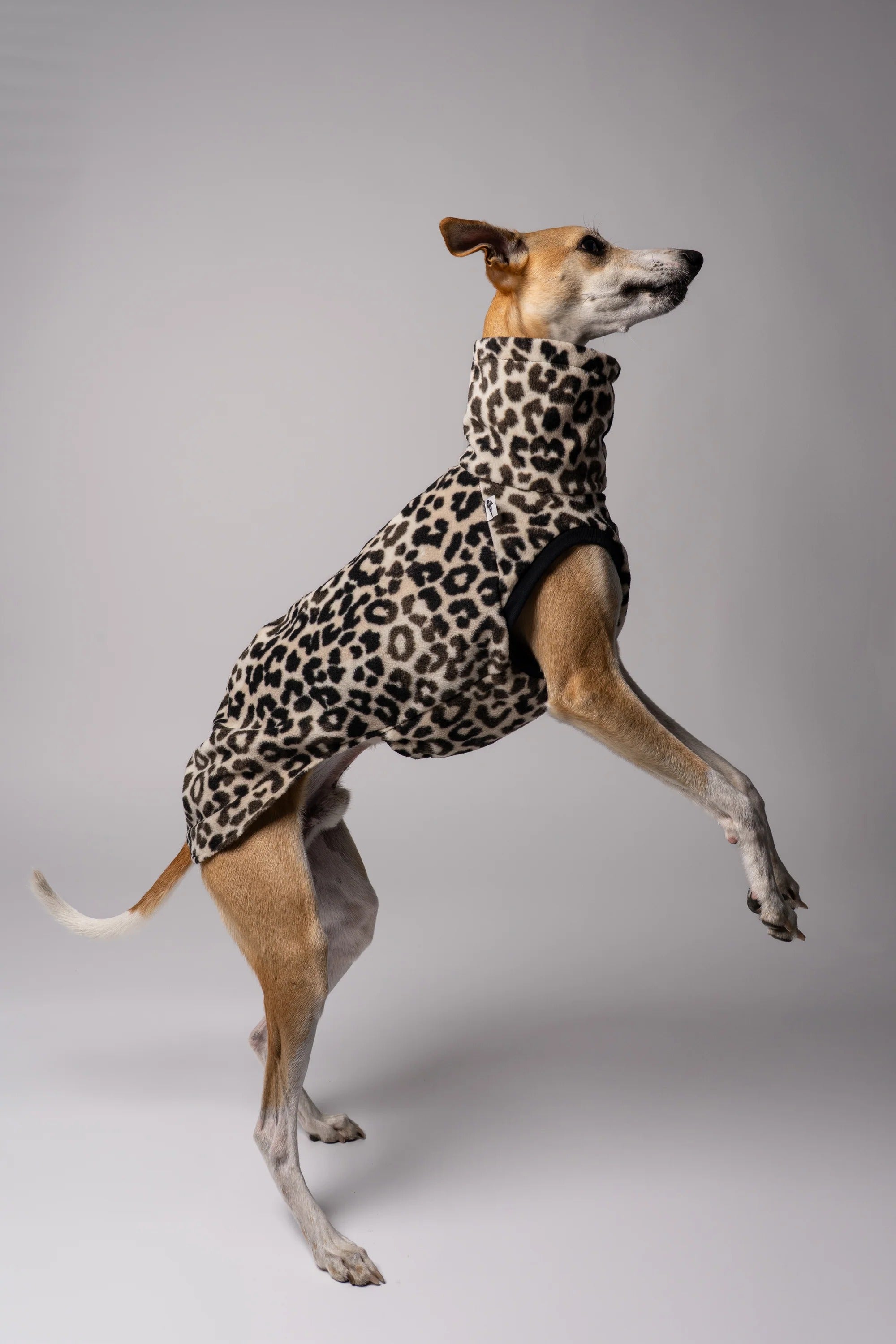 Karma Hund – Fleece Shirt Windhund - Leo