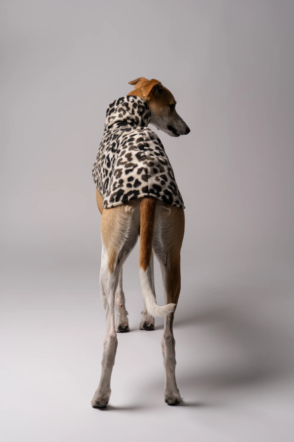 Karma Hund – Fleece Shirt Windhund - Leo