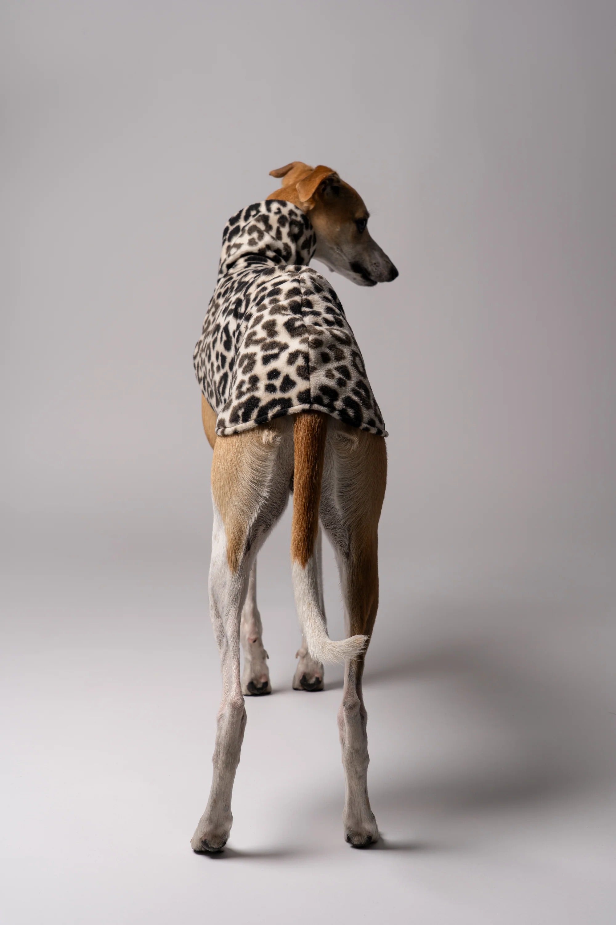 Karma Hund – Fleece Shirt Windhund - Leo