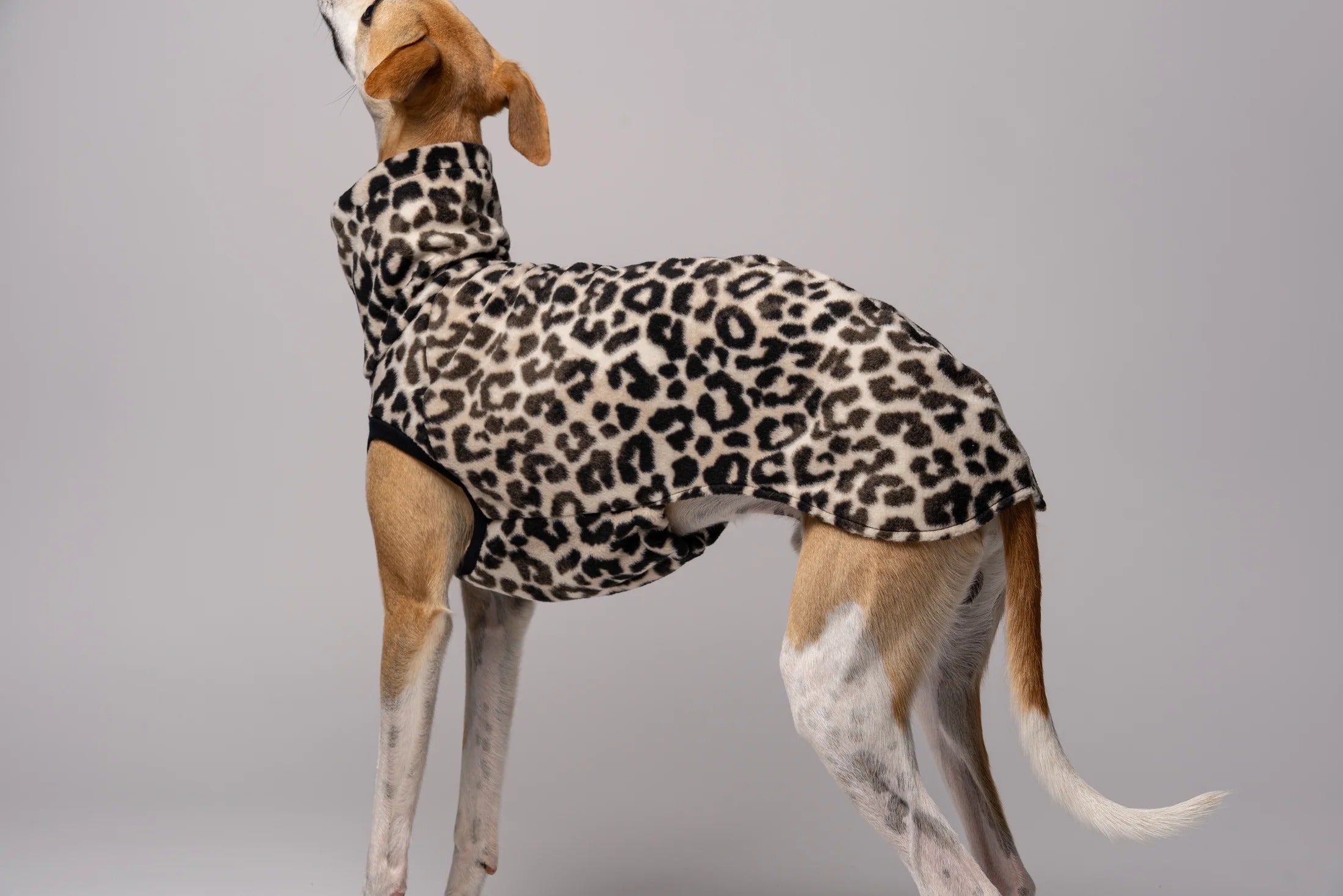 Karma Hund – Fleece Shirt Windhund - Leo