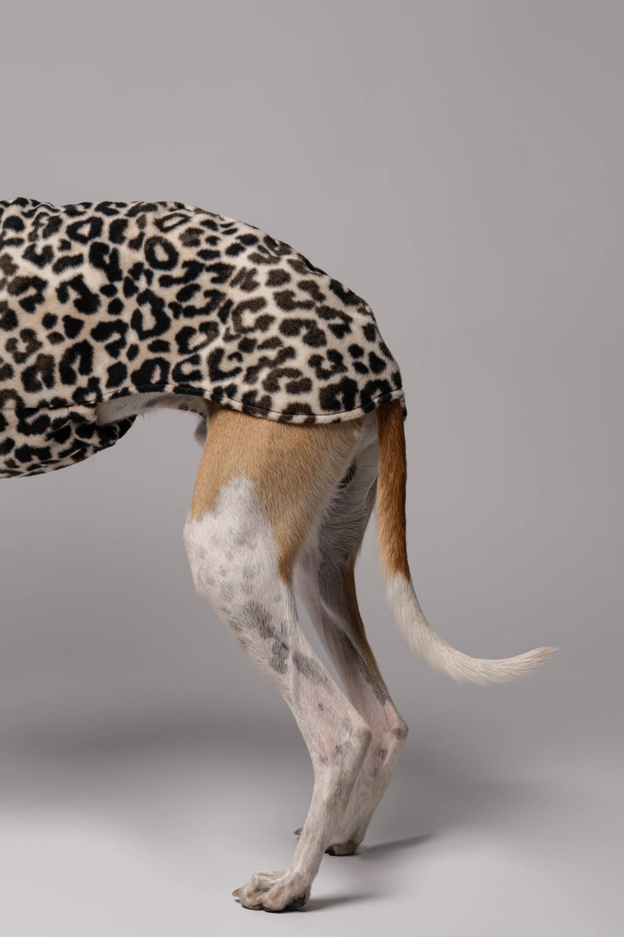 Karma Hund – Fleece Shirt Windhund - Leo