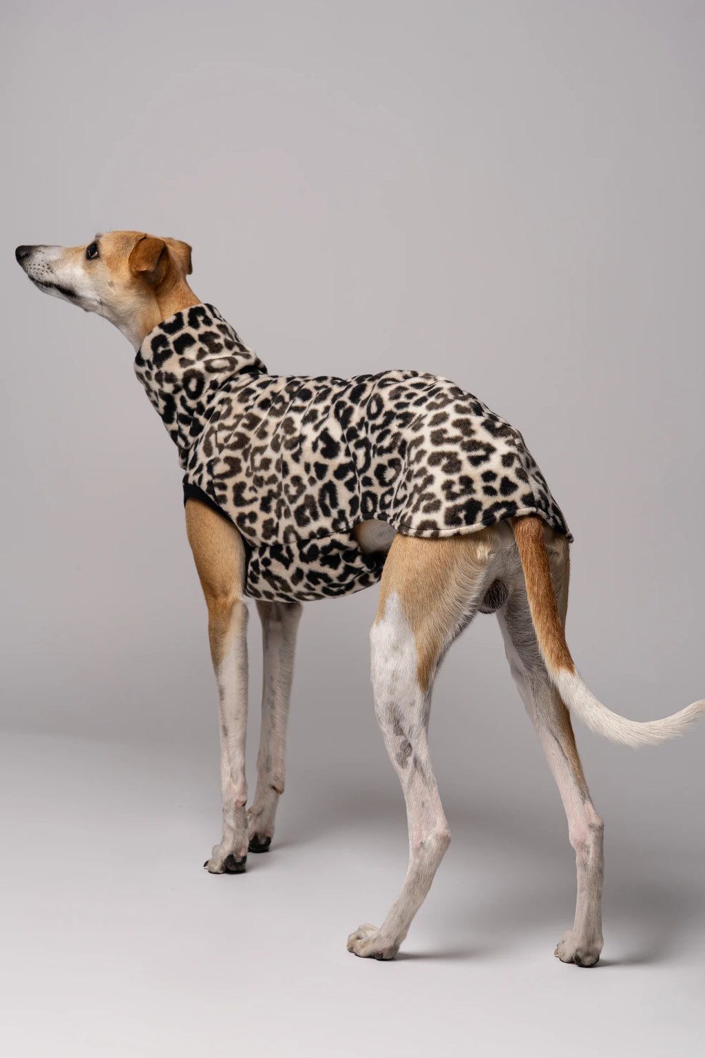 Karma Hund – Fleece Shirt Windhund - Leo