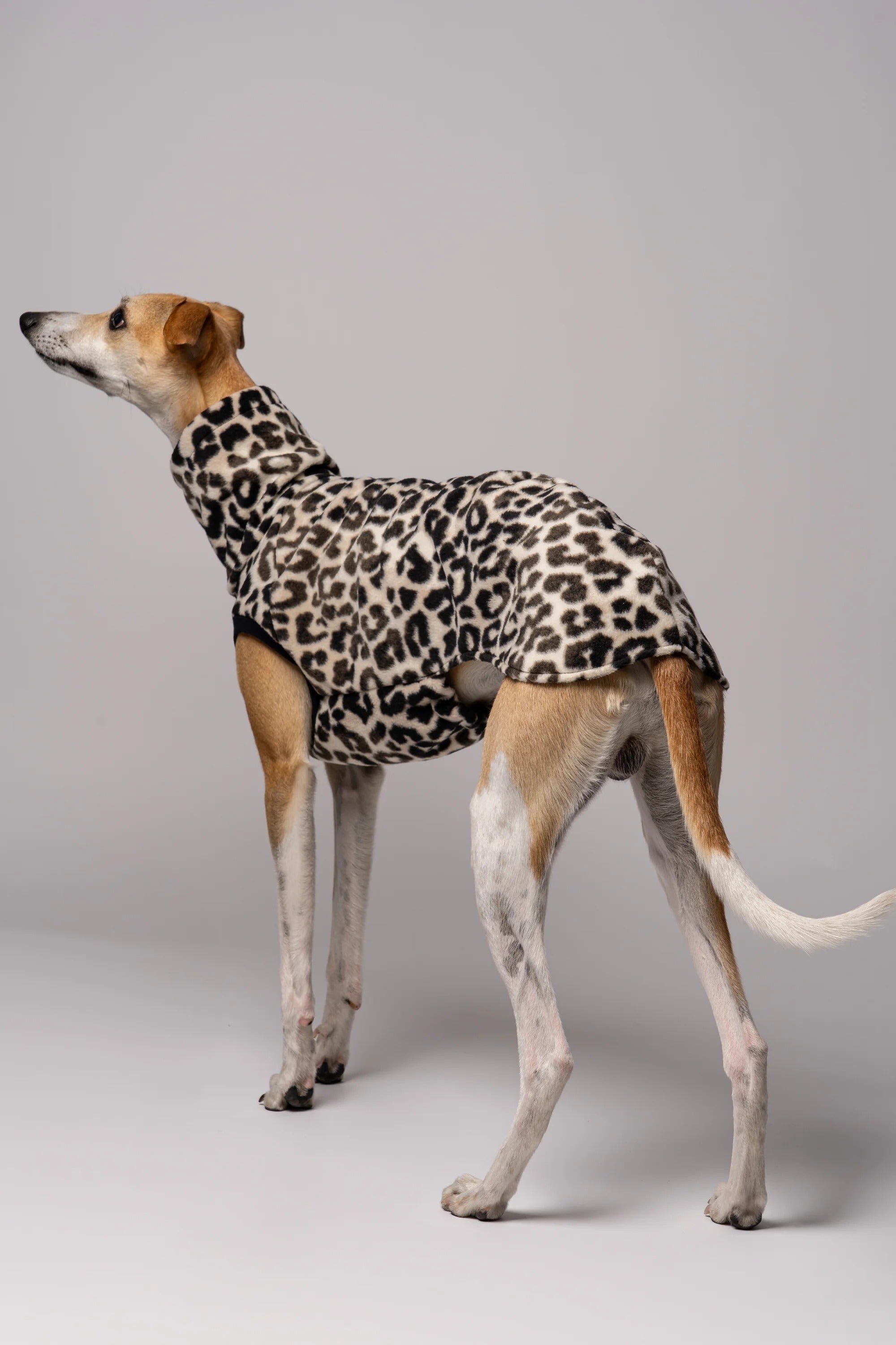 Karma Hund – Fleece Shirt Windhund - Leo