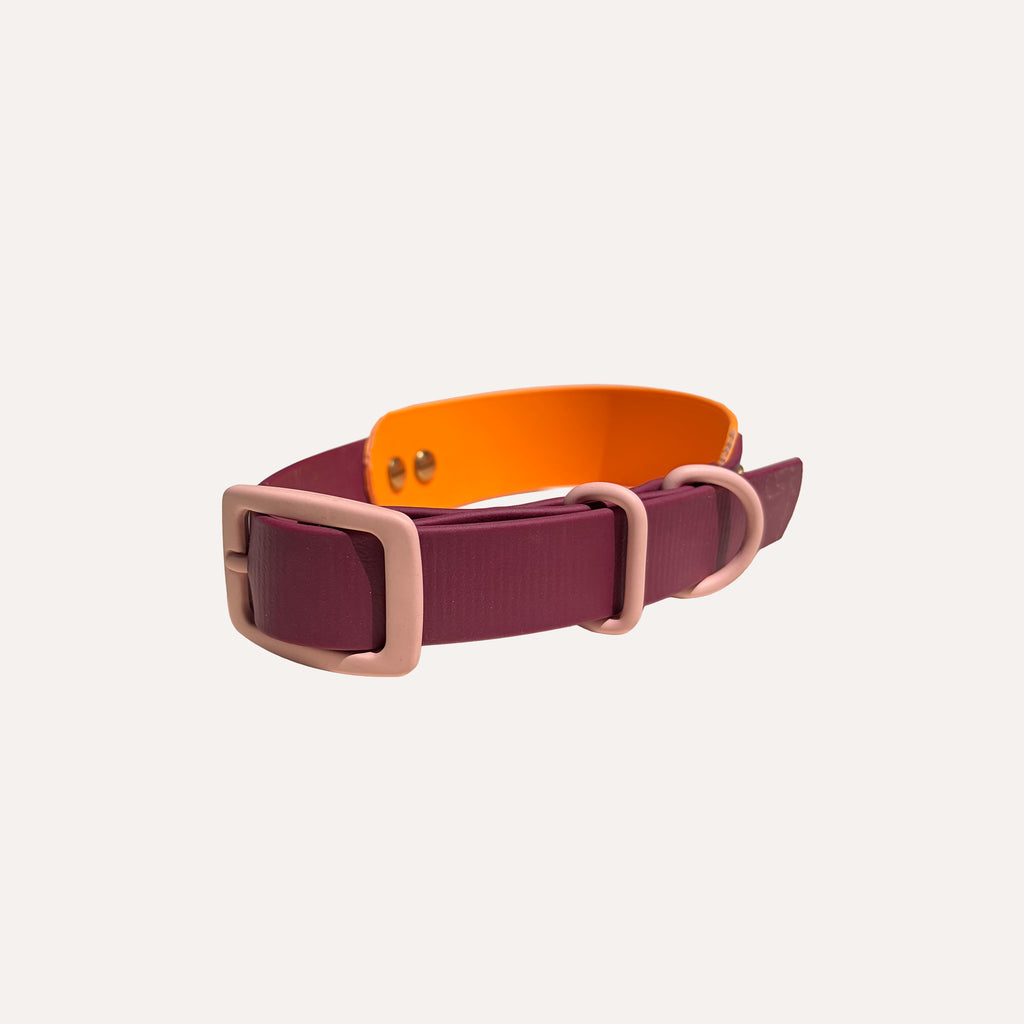 ZOEY'S - Hundehalsband BioThane „Duo“