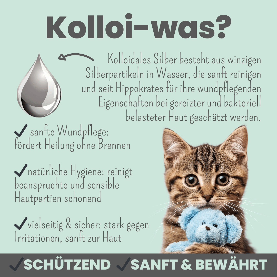 noms+ – Silberspray für Hunde & Katzen
