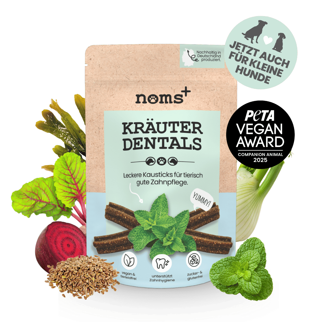 noms+ – Kräuter Dentals für Hunde
