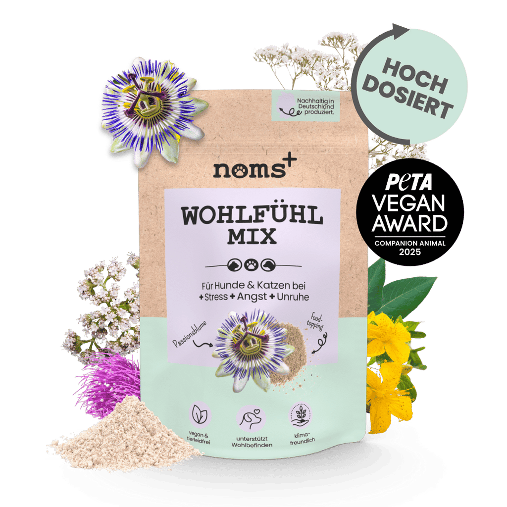 noms+ – Wohlfühlmix für Hunde & Katzen