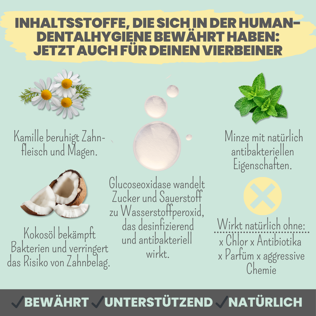 noms+ – Enzymodent: Enzymatische Zahnpasta für Hunde