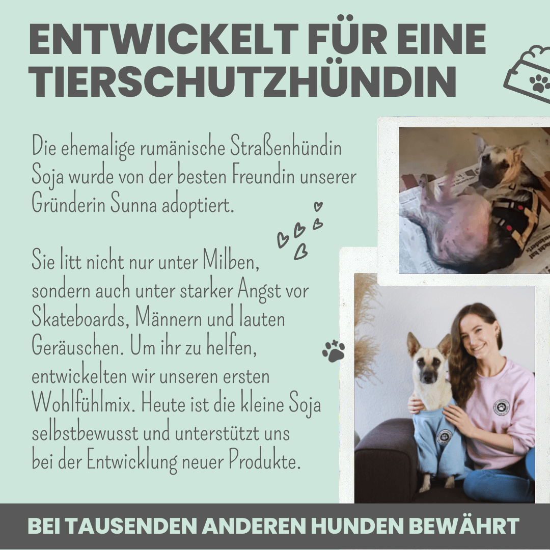 noms+ – Wohlfühlsnacks für Hunde