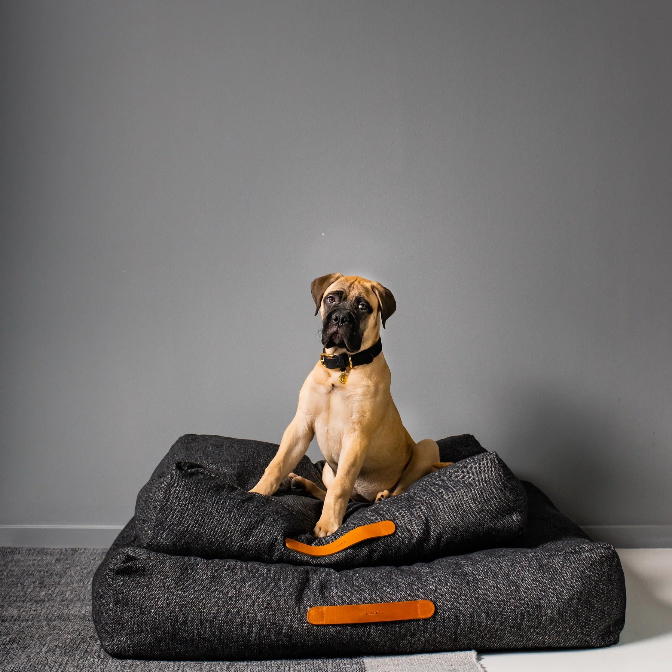 CLOUD7 – Hundebett Homey - Mélange Anthra