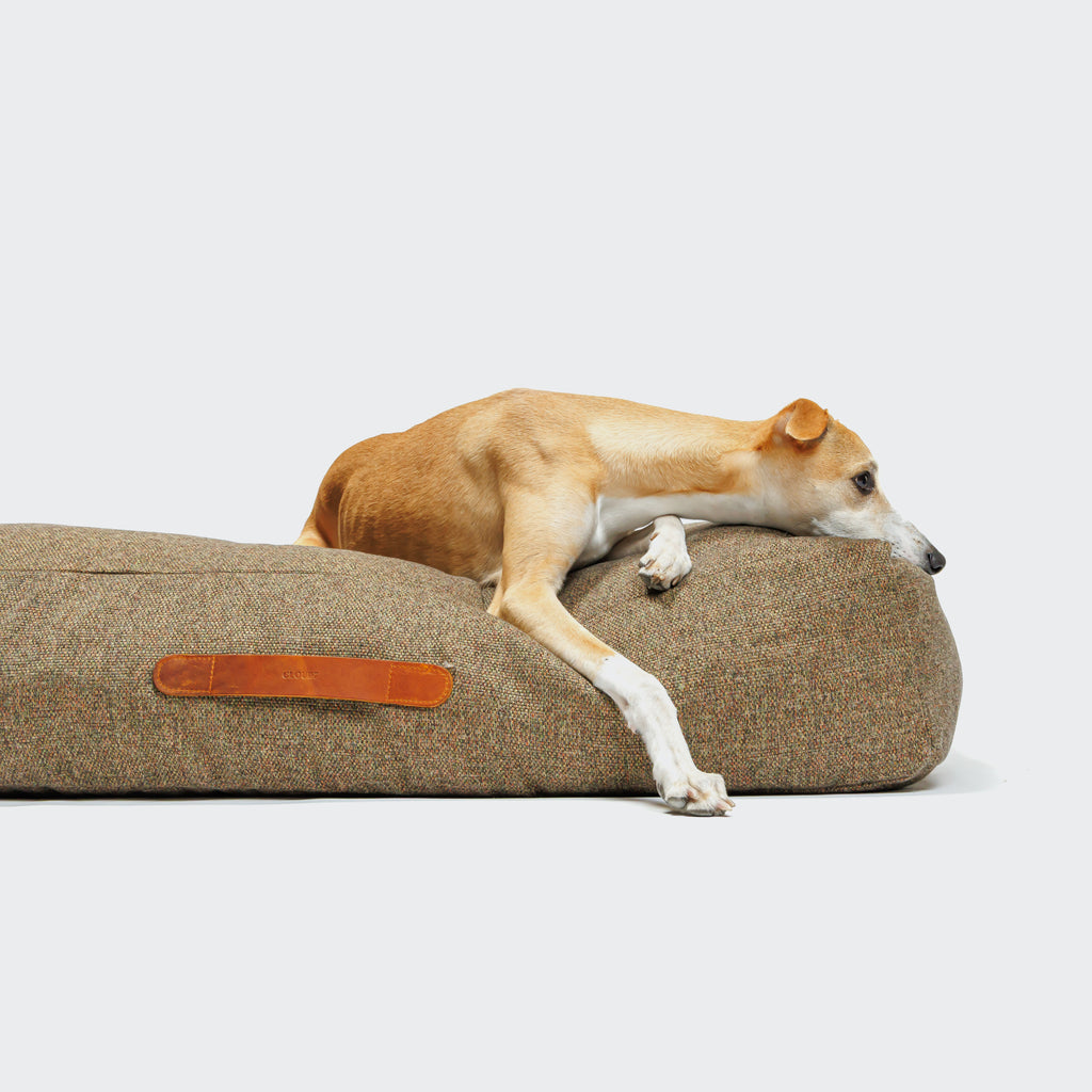 CLOUD7 – Hundebett Homey - Mélange Olive