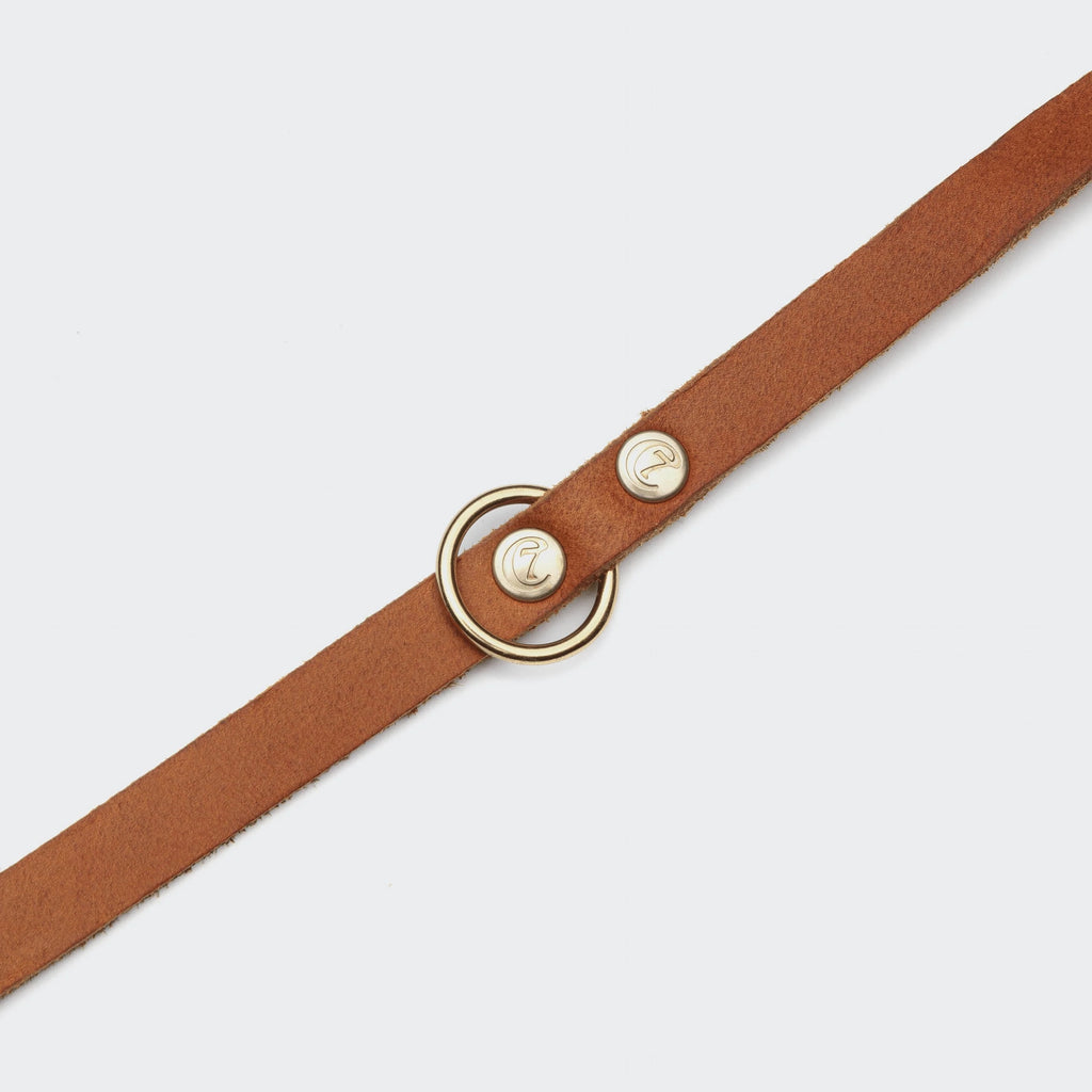 CLOUD7 - Hundeleine Riverlino Camel Gold