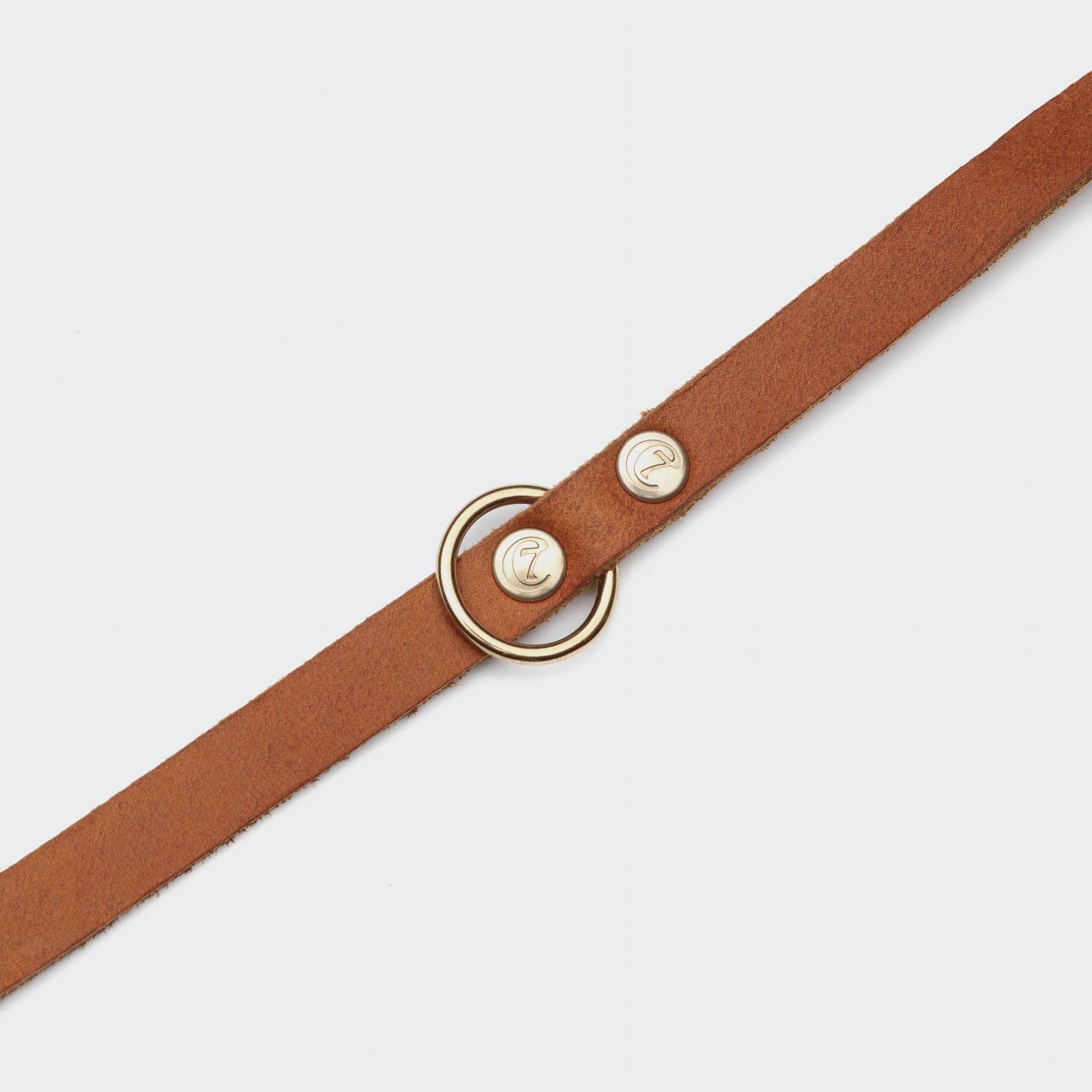 CLOUD7 - Hundeleine Riverlino Camel Gold