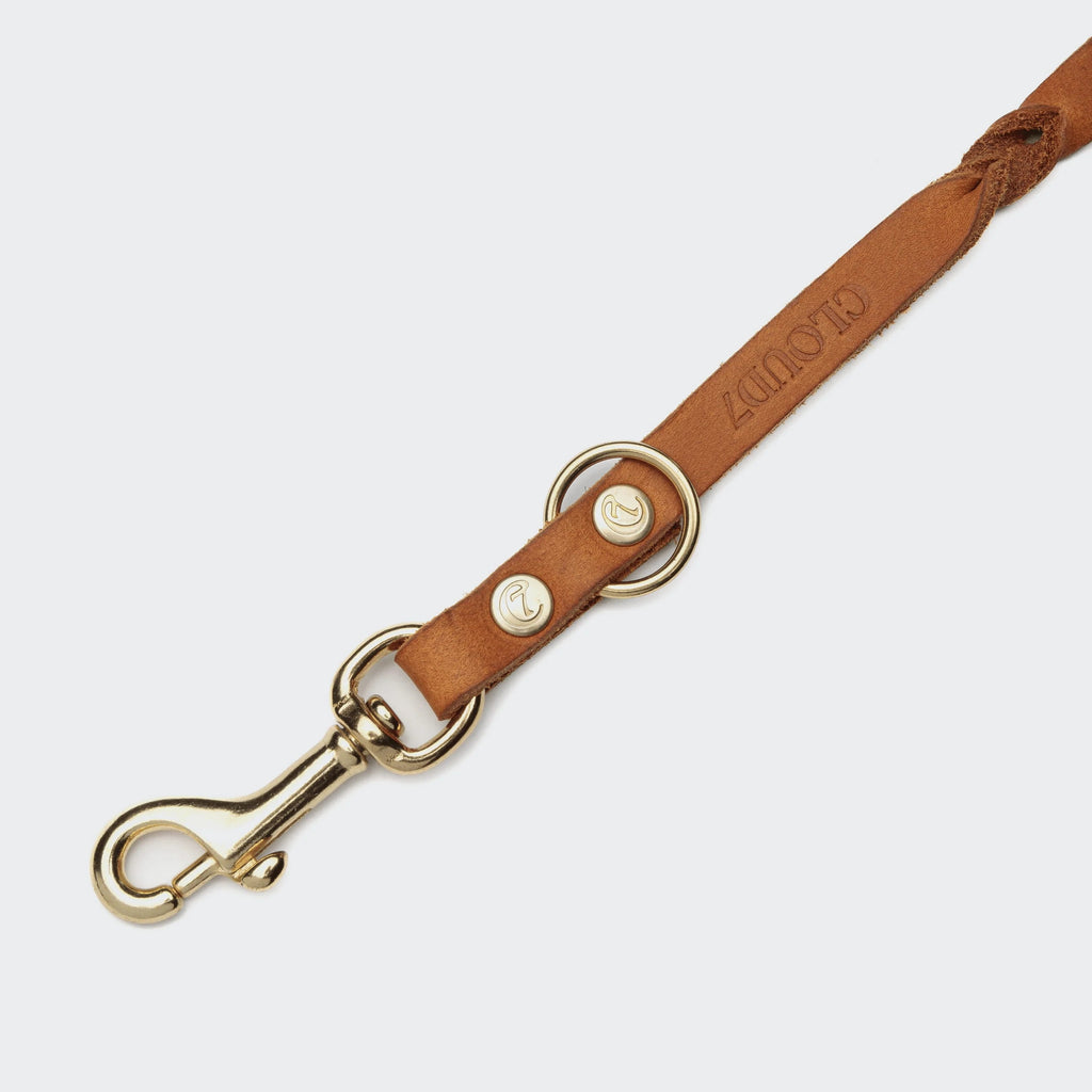 CLOUD7 - Hundeleine Riverlino Camel Gold