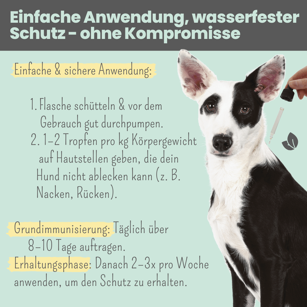 noms+ – Wasserfestes Zpot-on für Hunde gegen Zecken, Flöhe, Milben & Mücken