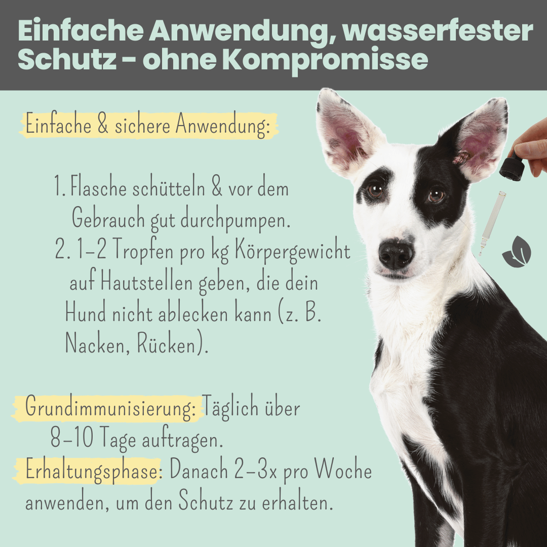 noms+ – Wasserfestes Zpot-on für Hunde gegen Zecken, Flöhe, Milben & Mücken