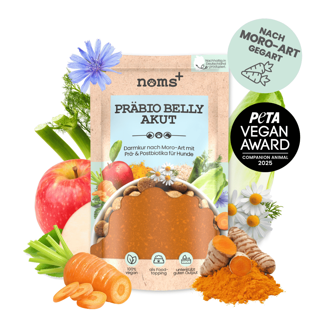 noms+ – Probio Belly Akut