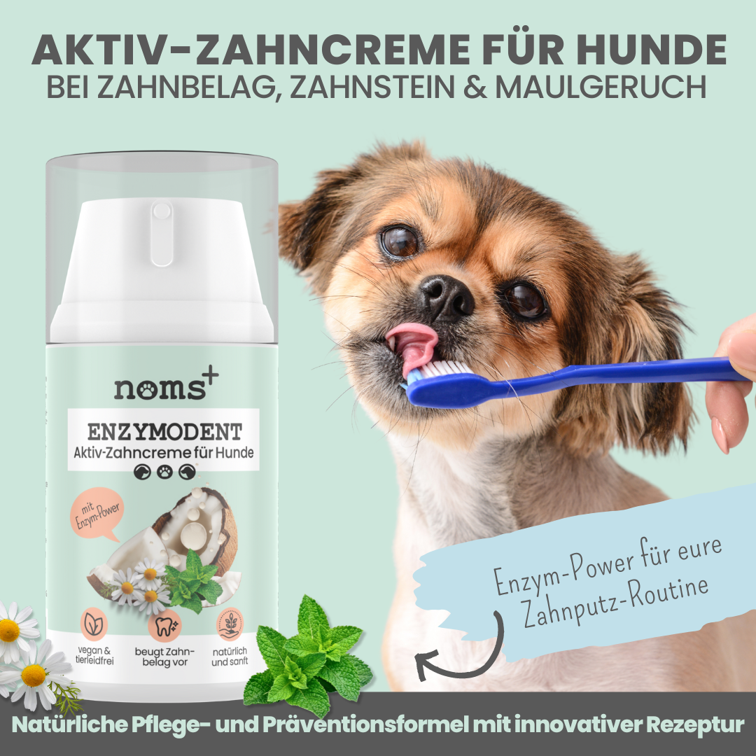 noms+ – Enzymodent: Enzymatische Zahnpasta für Hunde