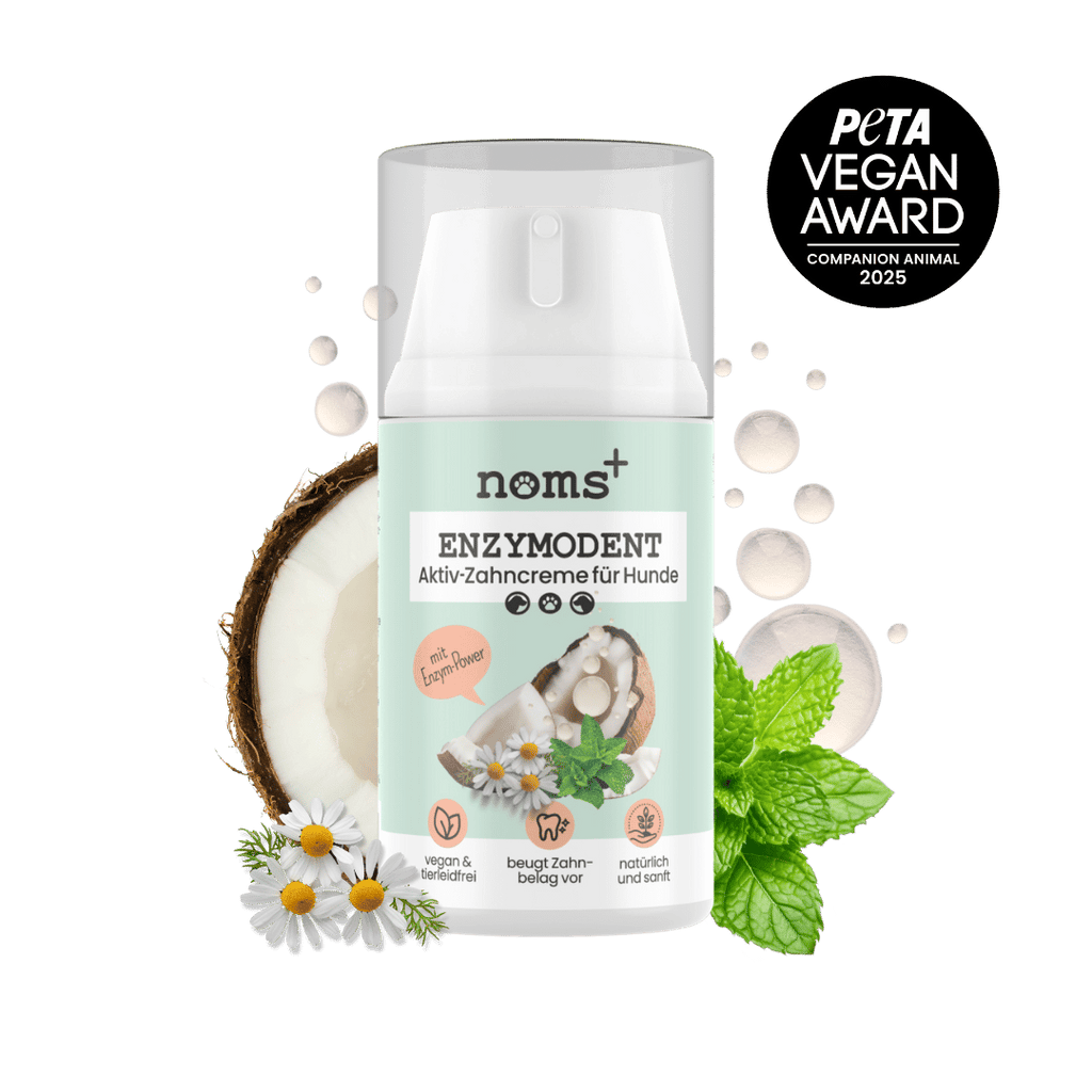 noms+ – Enzymodent: Enzymatische Zahnpasta für Hunde