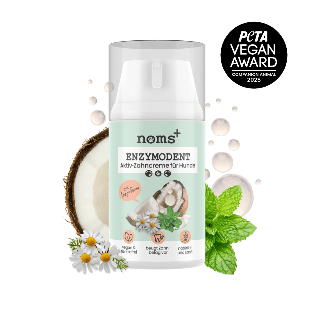noms+ – Enzymodent: Enzymatische Zahnpasta für Hunde