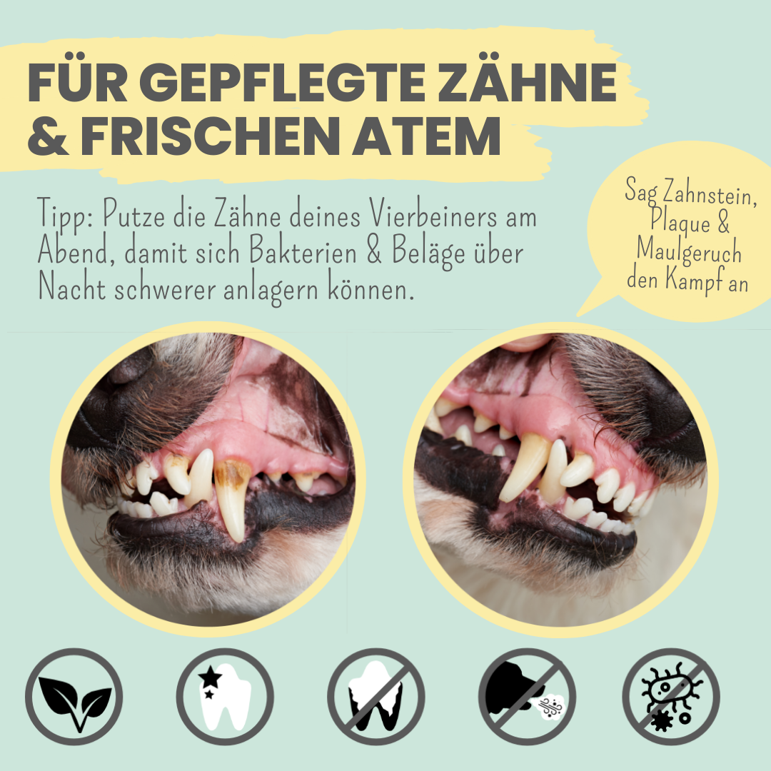 noms+ – Enzymodent: Enzymatische Zahnpasta für Hunde