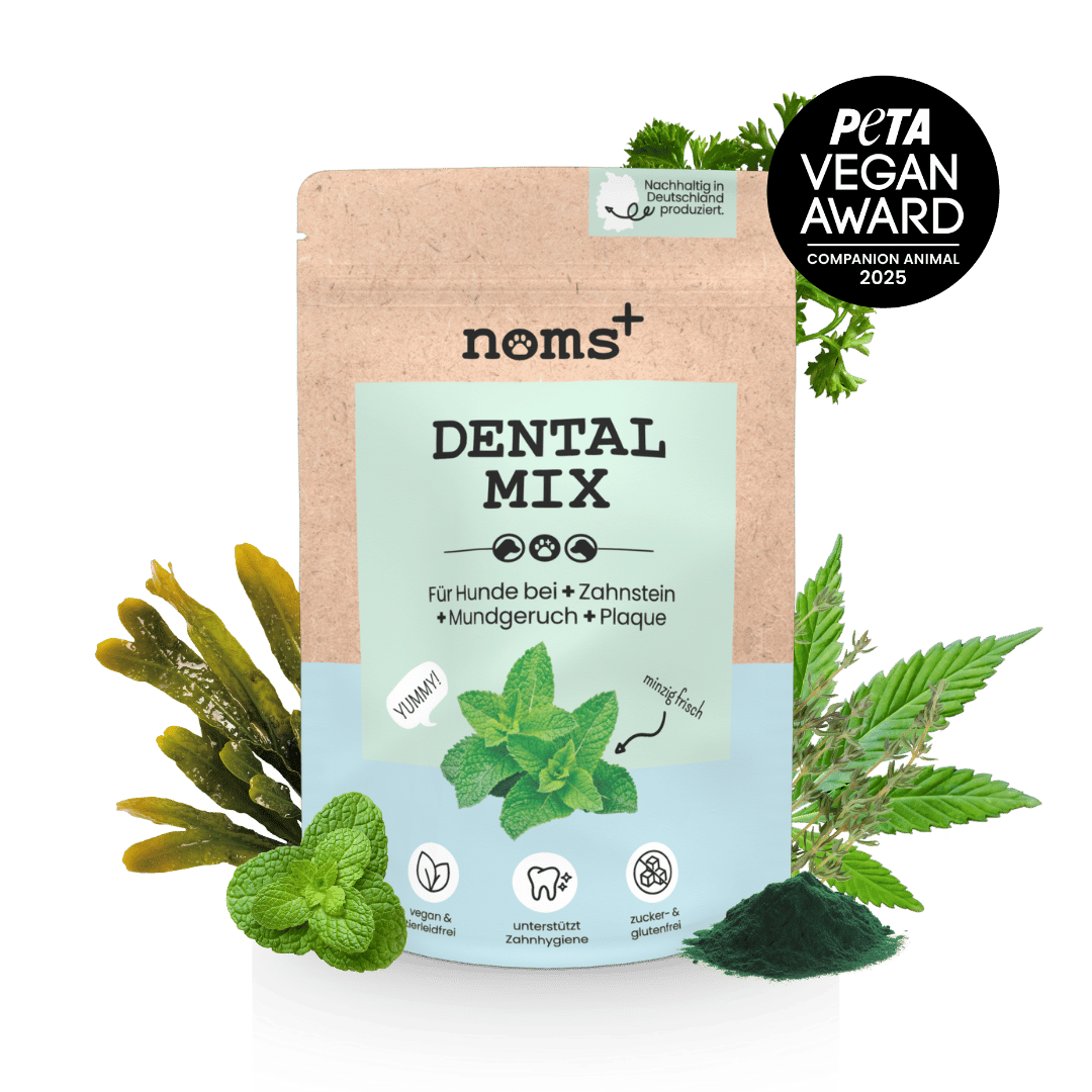 noms+ – Dentalmix für Hunde