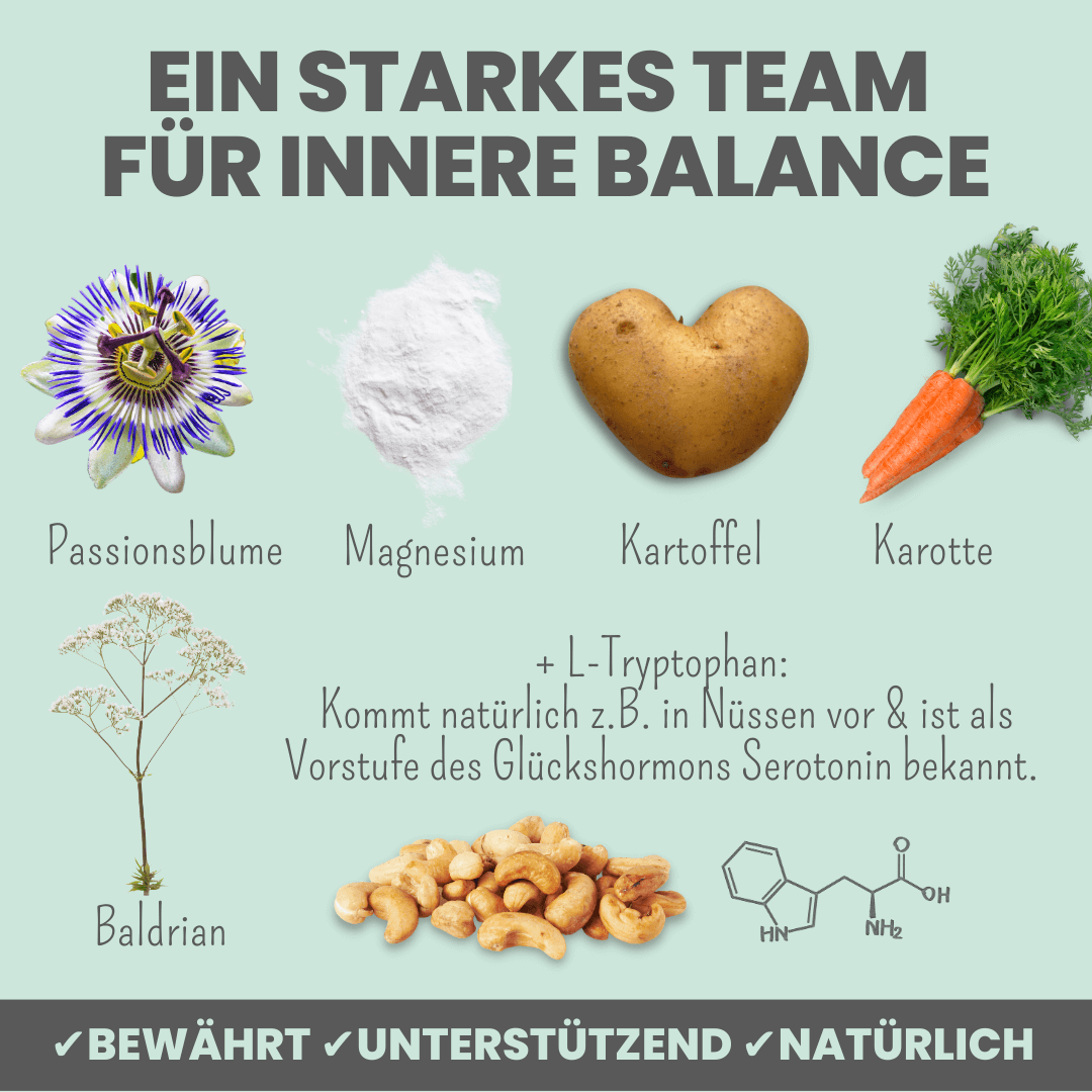 noms+ – Wohlfühlsnacks für Hunde