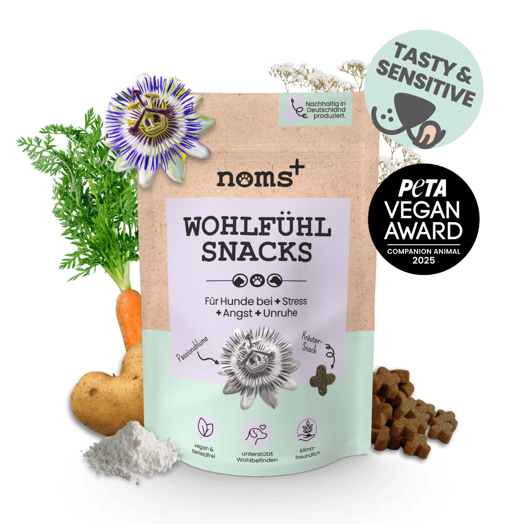 noms+ – Wohlfühlsnacks für Hunde