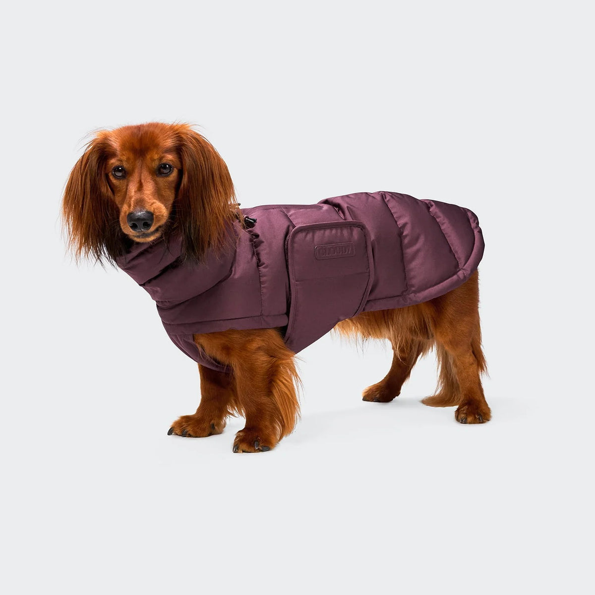CLOUD7 - Hundemantel Dackel Alaska Dark Aubergine