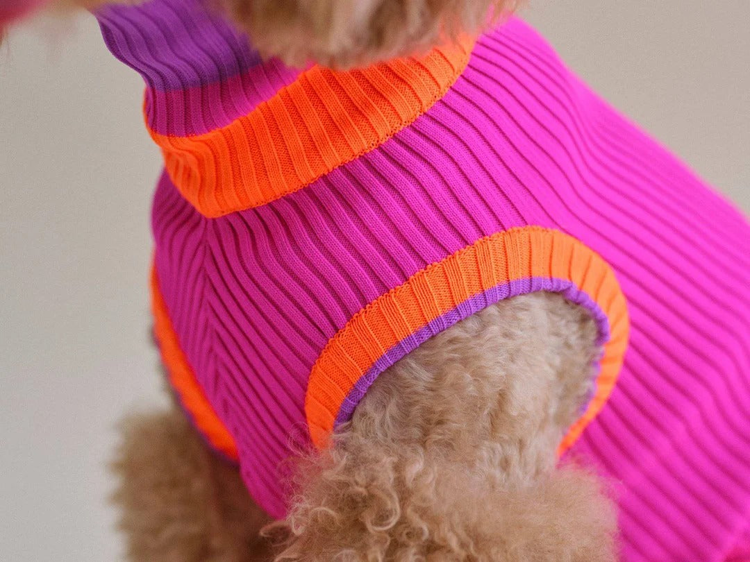 lumiies® – THE GLOW JUMPER 2.0 - Neon Hundepullover Electric Sunset