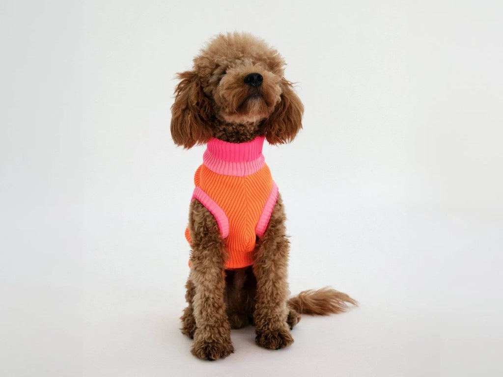 lumiies® – THE GLOW JUMPER 2.0 - Neon Hundepullover Sunny Tangerine