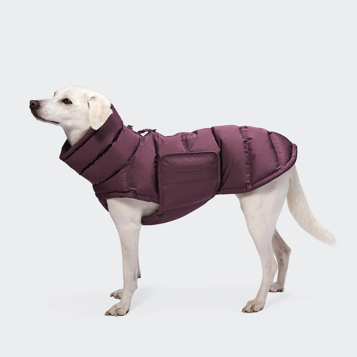 CLOUD7 - Hundemantel Alaska Dark Aubergine